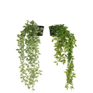 Vente-Unique - Plante artificielle tombante avec pot en céramique - H.70 x  L.20 cm - vert - BAHIANA - Plantes et fleurs artificielles - Rue du Commerce